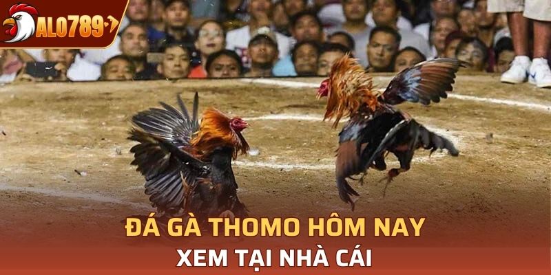 Chọn lựa đúng nhà cái giúp bạn có trải nghiệm tuyệt vời hơn